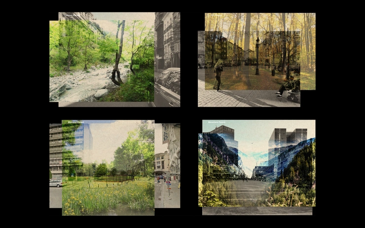 Trees First | The Public Spaces of the Forest-City