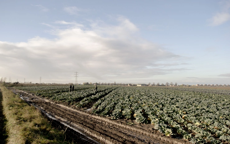 Speculative Future Wetlands