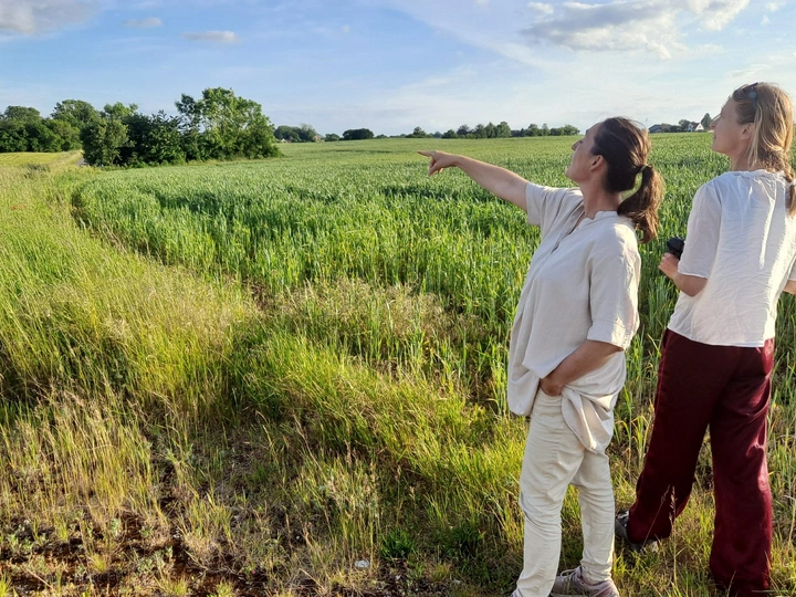 From farmland to common forrest on waterresources