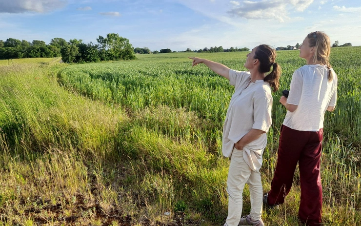 From farmland to common forrest on waterresources